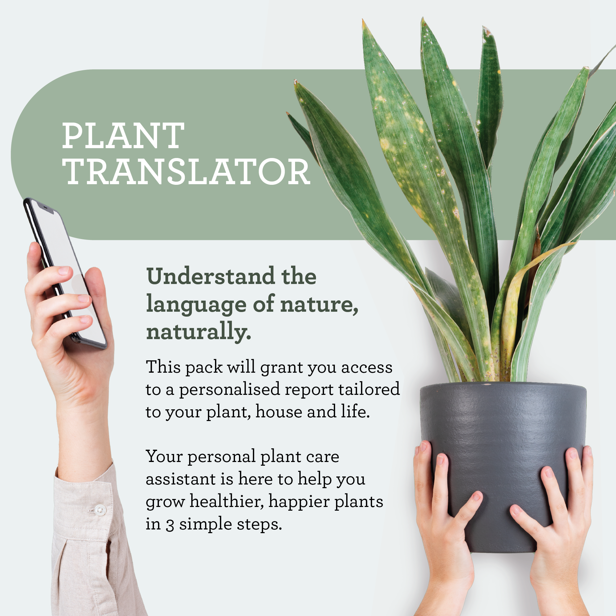 Generosa Plant Spa Gift Set Christmas Edition - Plant Protection and Cleaning | Neem oil 50ml and Plant Soap 200ml Kit | Combating Plant Pests | Eco-friendly Gift | Gift for Plant Lovers | Christmas gift