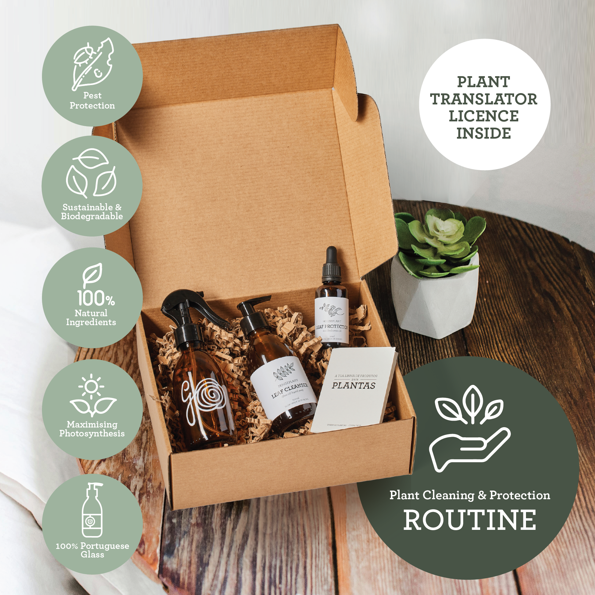 Generosa Plant Spa Gift Set Christmas Edition - Plant Protection and Cleaning | Neem oil 50ml and Plant Soap 200ml Kit | Combating Plant Pests | Eco-friendly Gift | Gift for Plant Lovers | Christmas gift